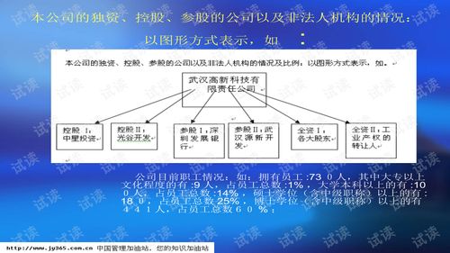 武汉市XX科技开发有限责任公司商业计划书